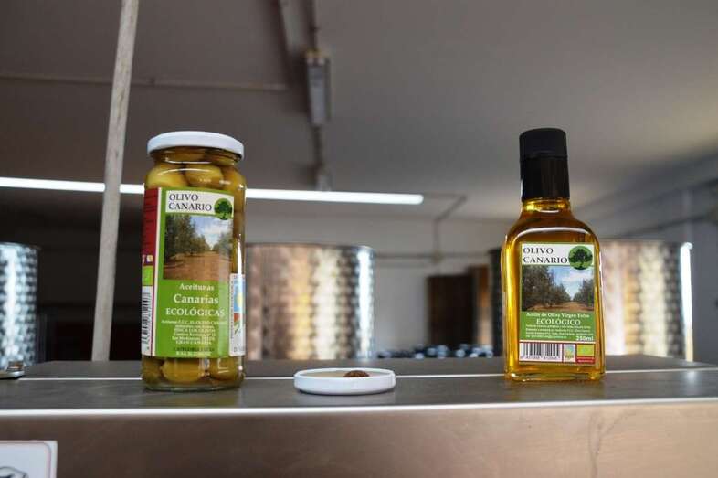 Imagen de archivo de las aceitunas y el aceite de Los Olivos / TA